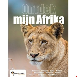 OOG voor Afrika 2025-3 Mijn Afrika (print)